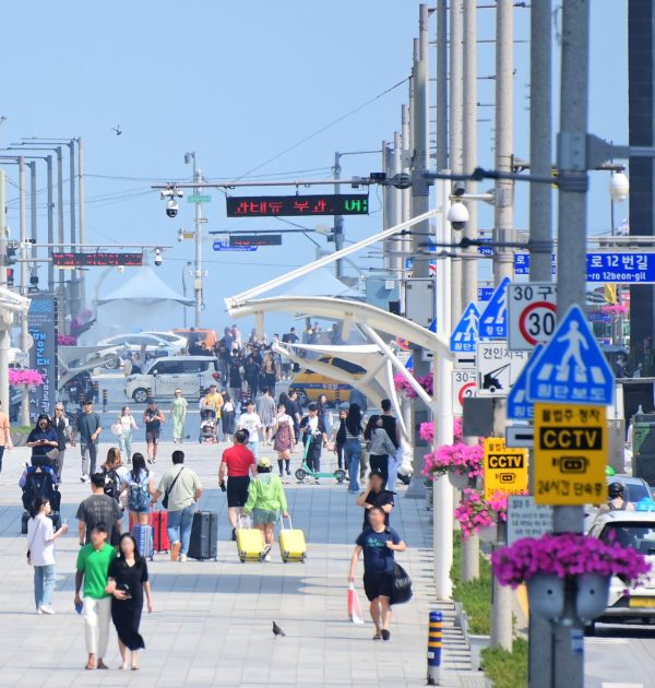SHL_0891 복사